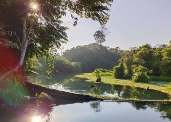Jarang terekspos, ternyata Kecamatan Sandaran, Kabupaten Kutai Timur (Kutim) juga memiliki spot wisata alam unggulan yang tidak kalah indah