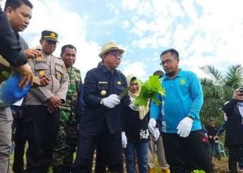 ebuah konsep pengembangan pangan yang dilakukan secara terintegrasi. Dinas Pertanian dan Peternakan Kutim akan membangun kawasan food estate. 