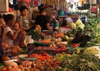 Kepala Dinas Koperasi dan UMKM Kabupaten Kutai Timur (Kutim), Darsafani menyampaikan total ada 3.000 penerima bantuan tunai untuk pelaku usaha mikro