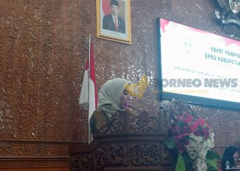 Fitriyani Dorong Peningkatan Penyertaan Modal untuk BUMD, Fokus pada Pelayanan Kebutuhan Dasar